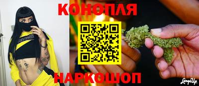 гидра Можга