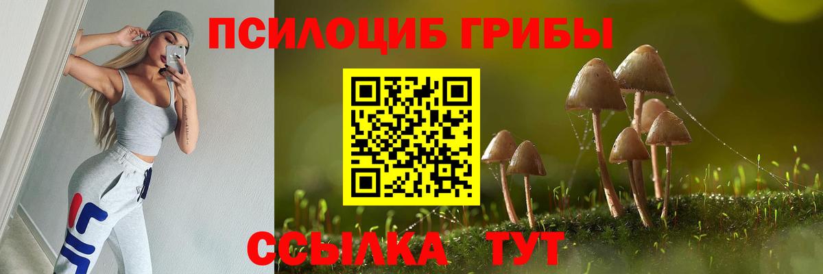 Усть-Джегута  Галлюциногенные грибы Magic Shrooms  Вход с VPN 